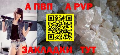 СК Тула