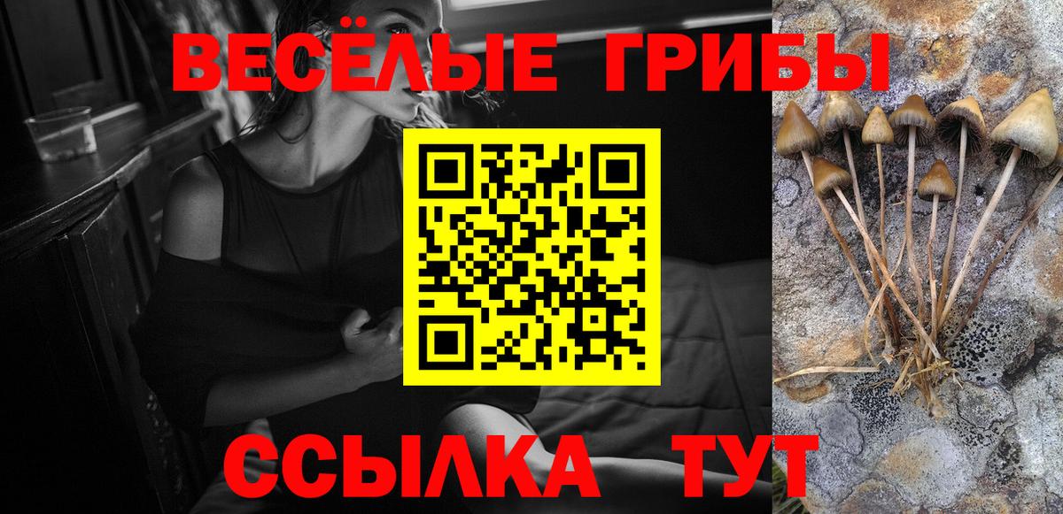 Псилоцибиновые грибы мухоморы Отрадный