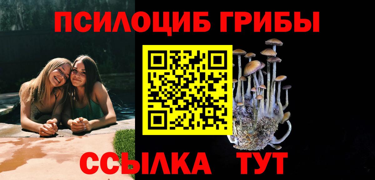 Псилоцибиновые грибы GOLDEN TEACHER  Вход с VPN  наркошоп  Отрадный 